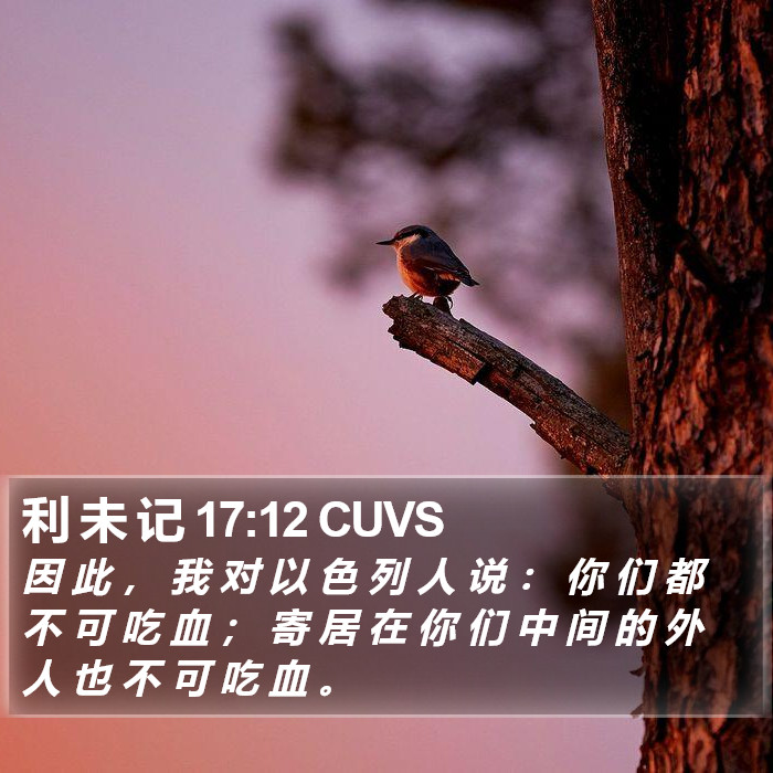 利 未 记 17:12 CUVS Bible Study