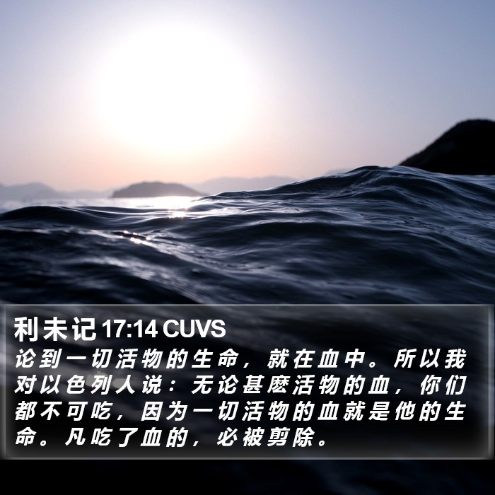 利 未 记 17:14 CUVS Bible Study