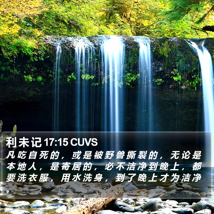 利 未 记 17:15 CUVS Bible Study