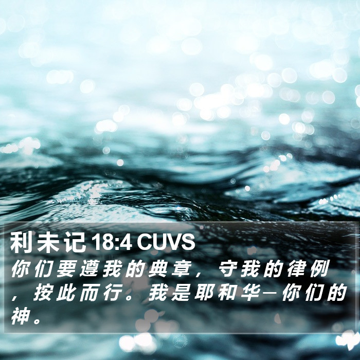 利 未 记 18:4 CUVS Bible Study