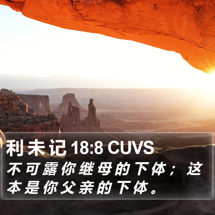 利 未 记 18:8 CUVS Bible Study