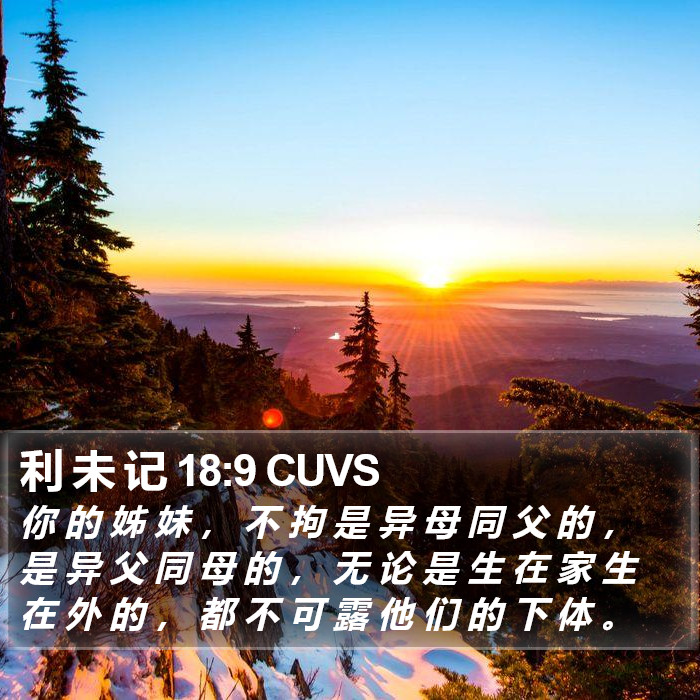 利 未 记 18:9 CUVS Bible Study