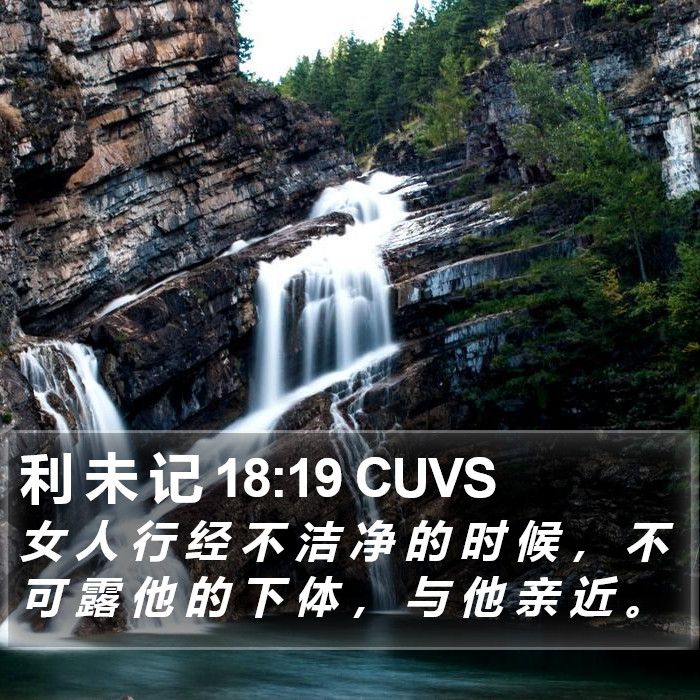 利 未 记 18:19 CUVS Bible Study