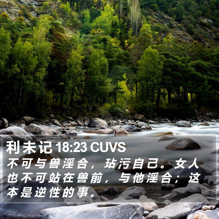 利 未 记 18:23 CUVS Bible Study