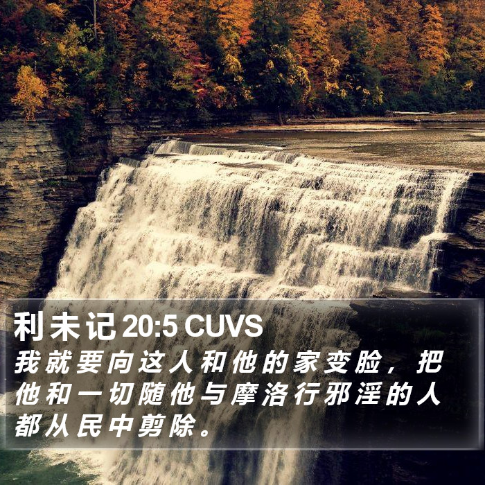 利 未 记 20:5 CUVS Bible Study
