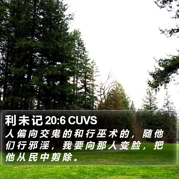 利 未 记 20:6 CUVS Bible Study