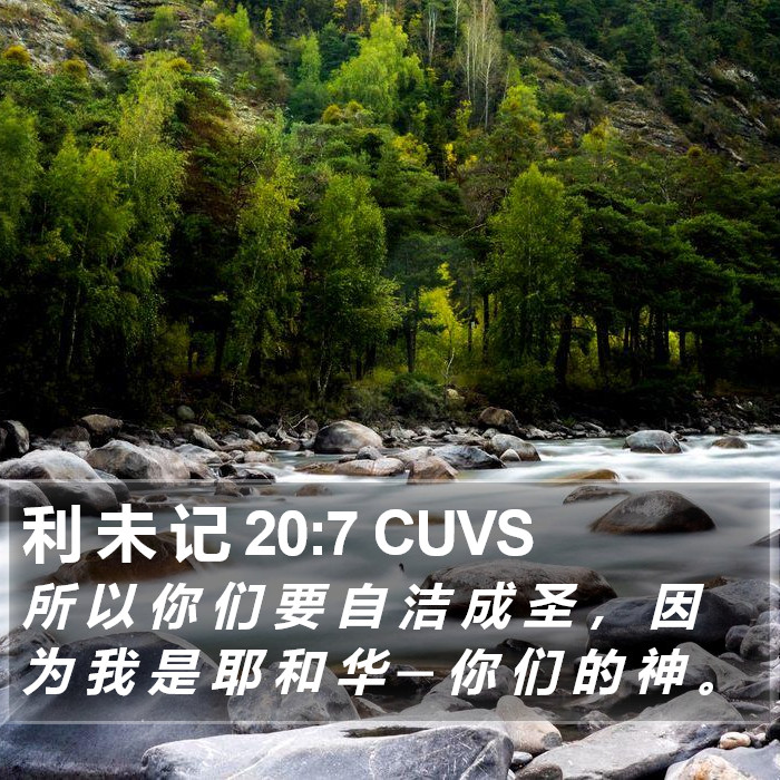 利 未 记 20:7 CUVS Bible Study