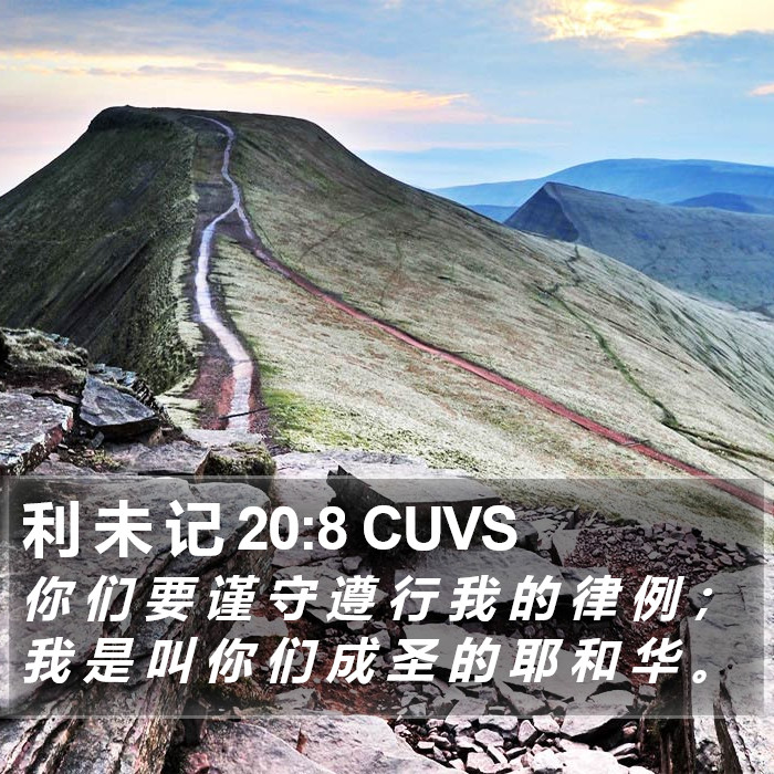 利 未 记 20:8 CUVS Bible Study