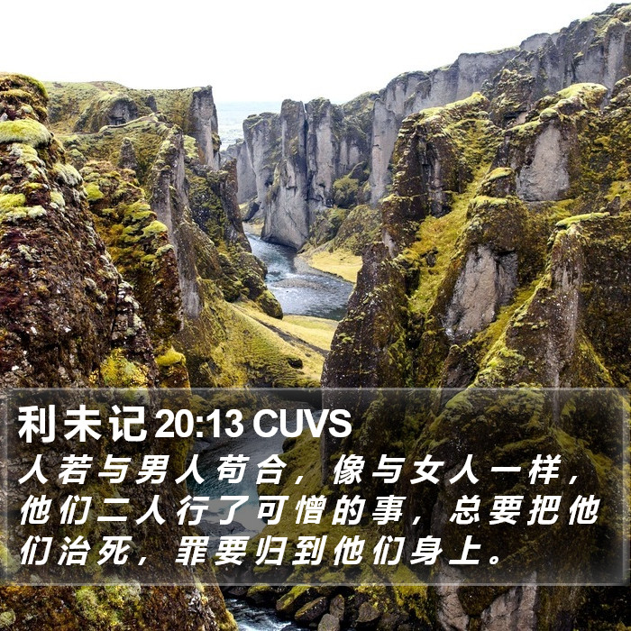 利 未 记 20:13 CUVS Bible Study