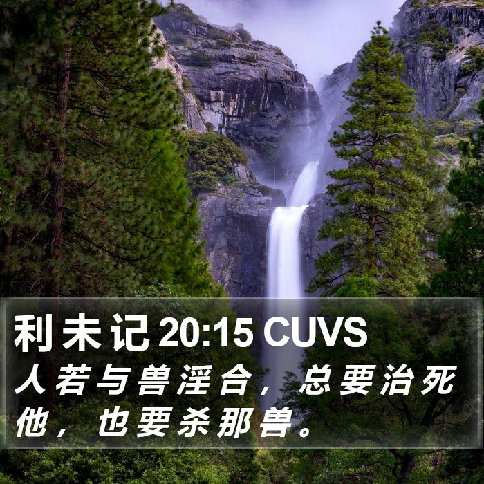 利 未 记 20:15 CUVS Bible Study