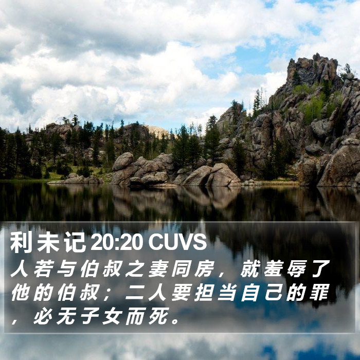 利 未 记 20:20 CUVS Bible Study