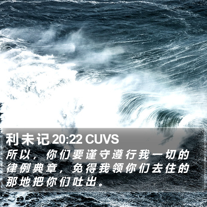 利 未 记 20:22 CUVS Bible Study