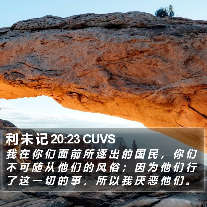 利 未 记 20:23 CUVS Bible Study