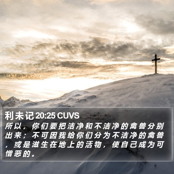 利 未 记 20:25 CUVS Bible Study