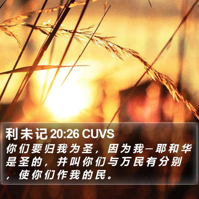 利 未 记 20:26 CUVS Bible Study