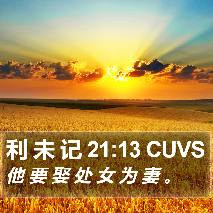 利 未 记 21:13 CUVS Bible Study