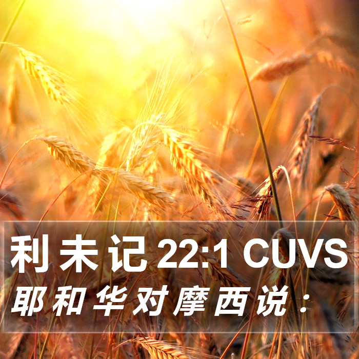 利 未 记 22:1 CUVS Bible Study