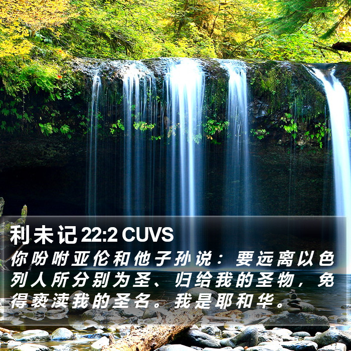 利 未 记 22:2 CUVS Bible Study