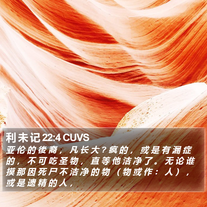 利 未 记 22:4 CUVS Bible Study