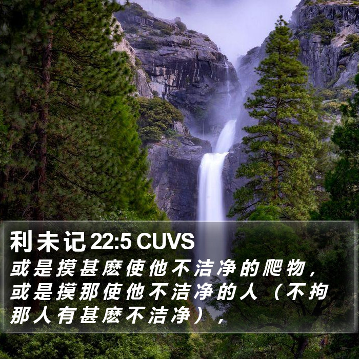 利 未 记 22:5 CUVS Bible Study