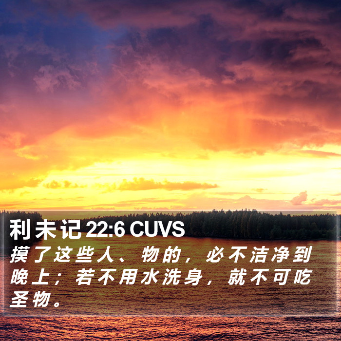 利 未 记 22:6 CUVS Bible Study