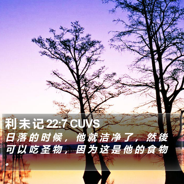 利 未 记 22:7 CUVS Bible Study