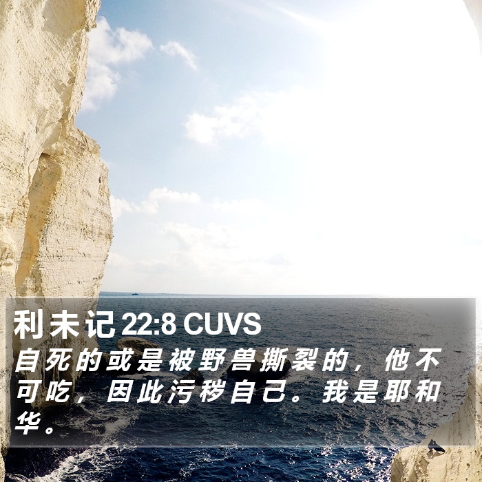 利 未 记 22:8 CUVS Bible Study