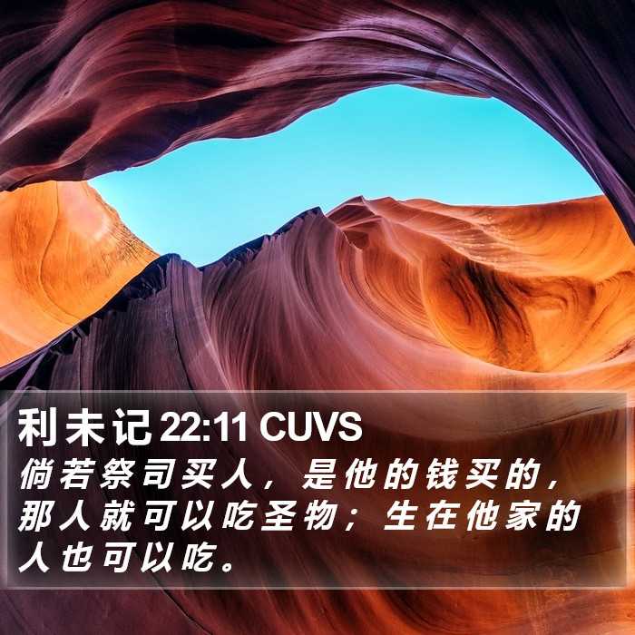 利 未 记 22:11 CUVS Bible Study