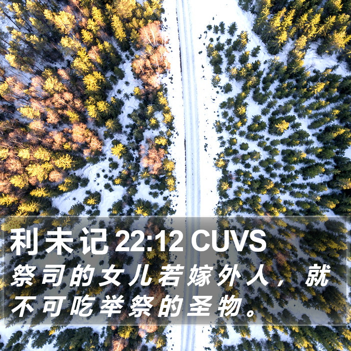 利 未 记 22:12 CUVS Bible Study