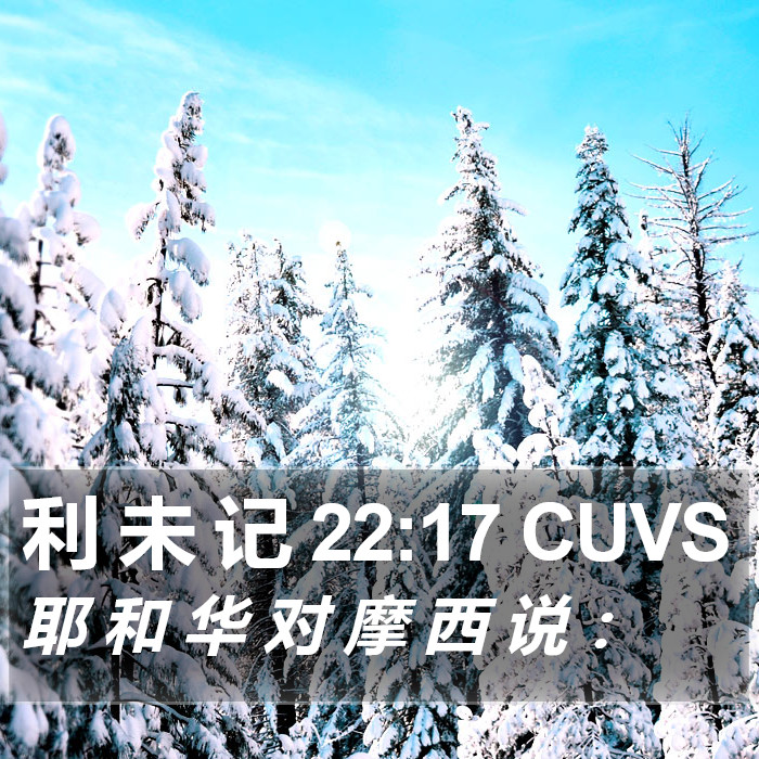 利 未 记 22:17 CUVS Bible Study