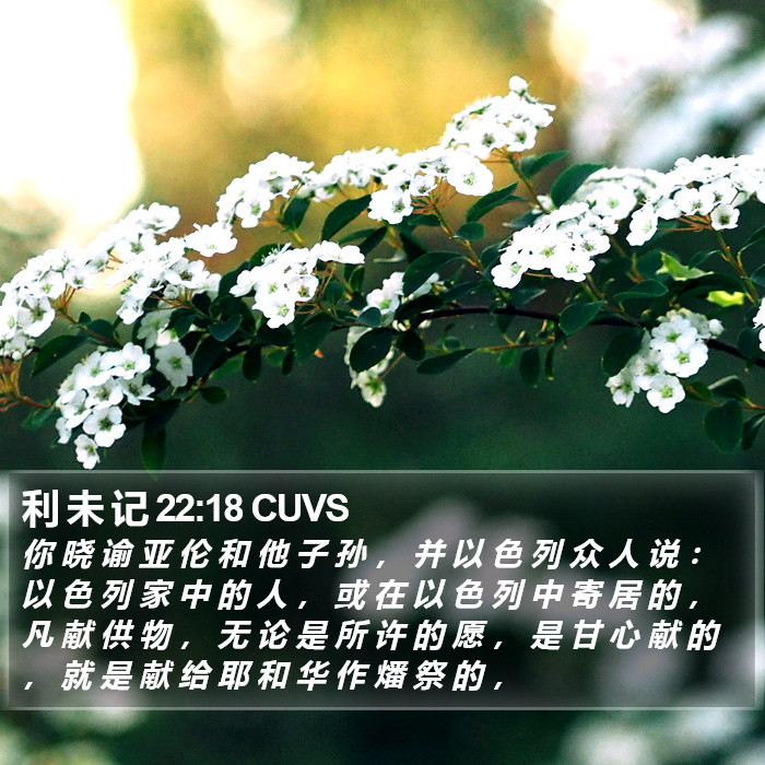 利 未 记 22:18 CUVS Bible Study