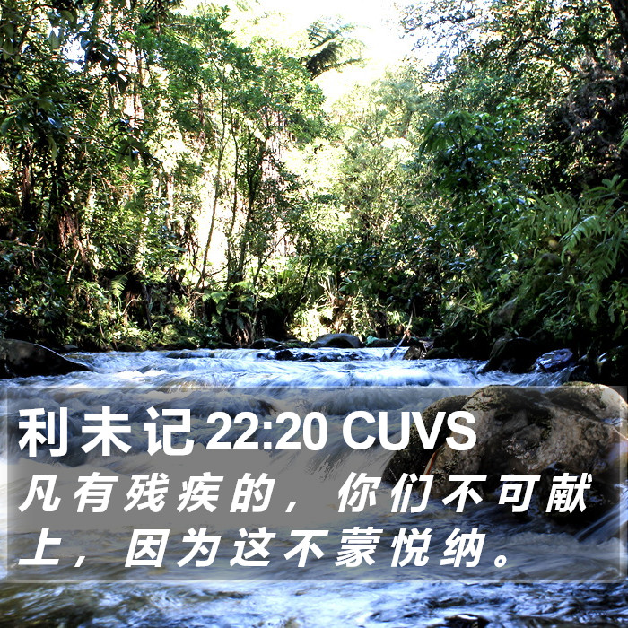 利 未 记 22:20 CUVS Bible Study