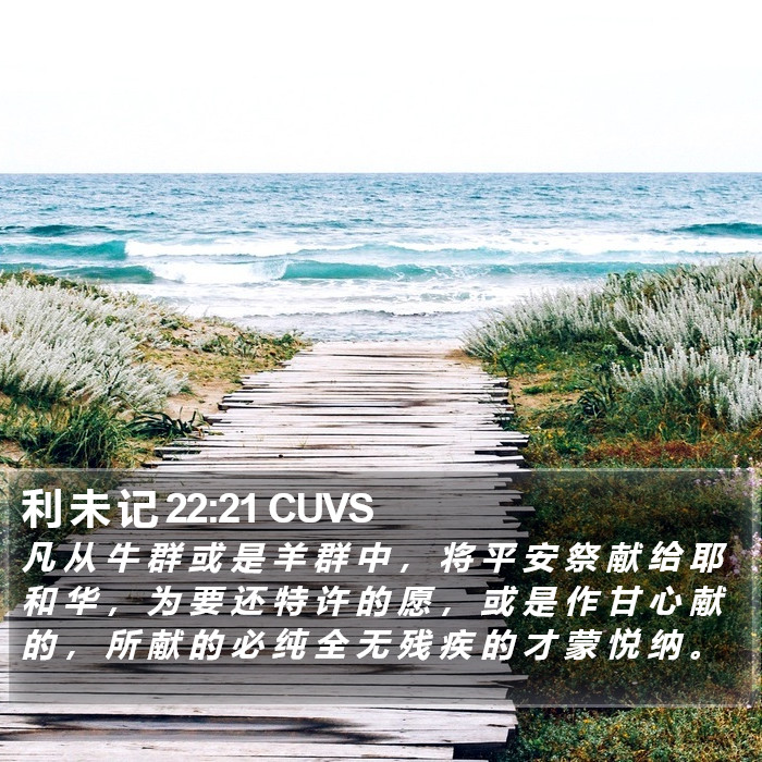 利 未 记 22:21 CUVS Bible Study