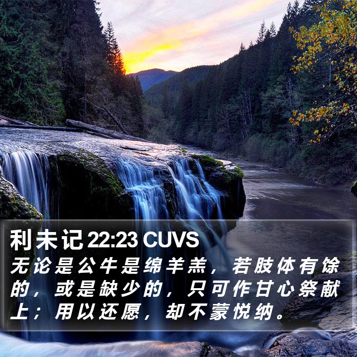 利 未 记 22:23 CUVS Bible Study