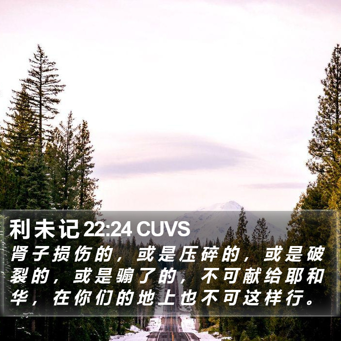 利 未 记 22:24 CUVS Bible Study