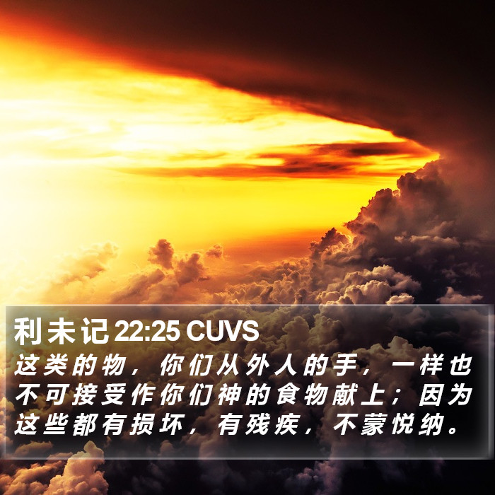 利 未 记 22:25 CUVS Bible Study