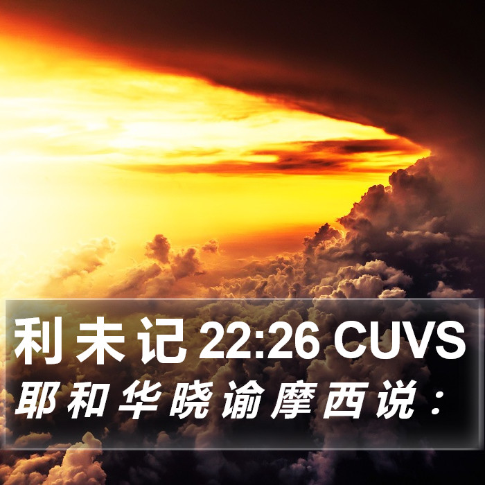 利 未 记 22:26 CUVS Bible Study