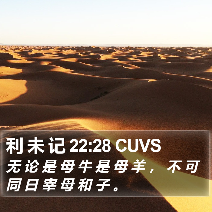 利 未 记 22:28 CUVS Bible Study