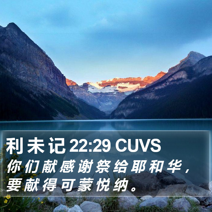 利 未 记 22:29 CUVS Bible Study