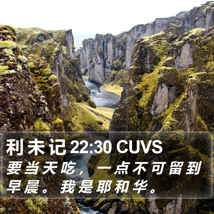 利 未 记 22:30 CUVS Bible Study