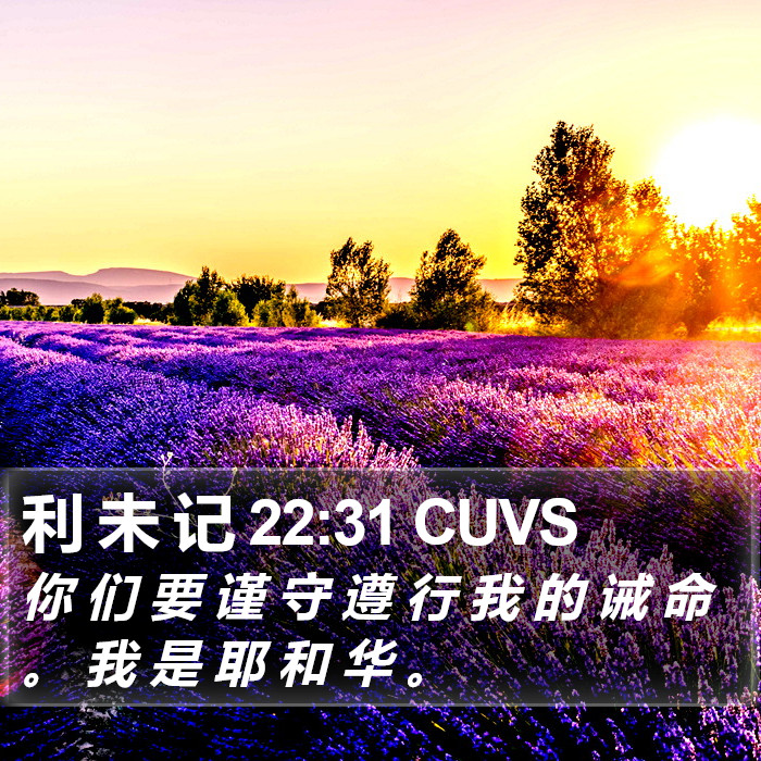 利 未 记 22:31 CUVS Bible Study