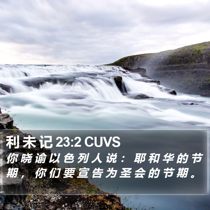 利 未 记 23:2 CUVS Bible Study