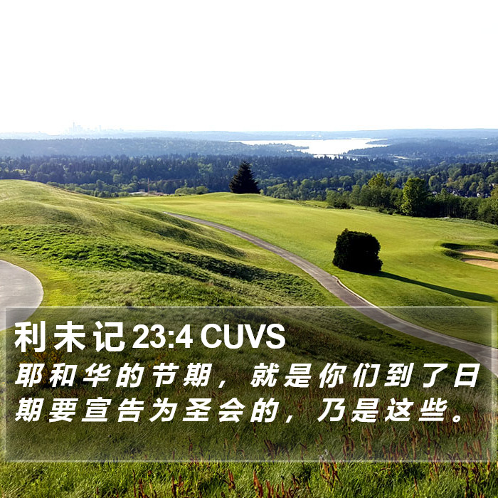 利 未 记 23:4 CUVS Bible Study