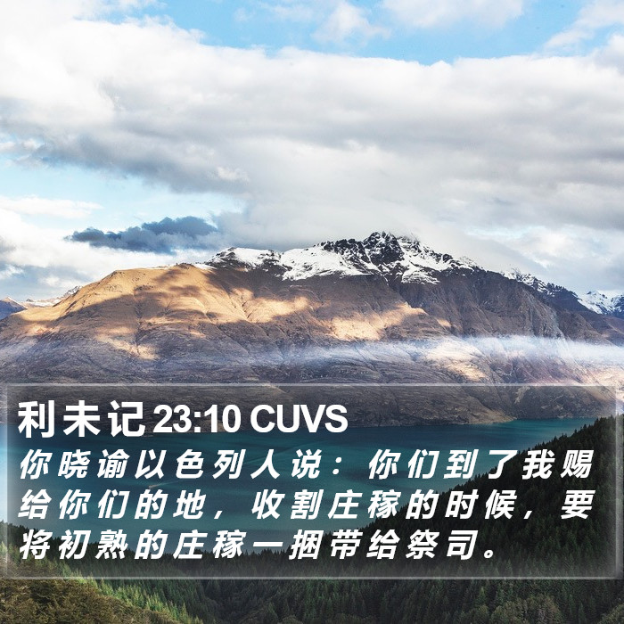 利 未 记 23:10 CUVS Bible Study