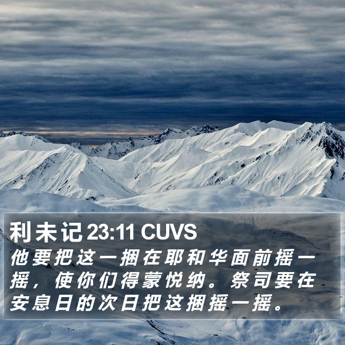 利 未 记 23:11 CUVS Bible Study