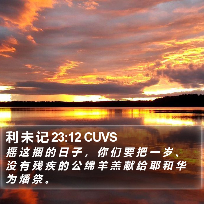利 未 记 23:12 CUVS Bible Study