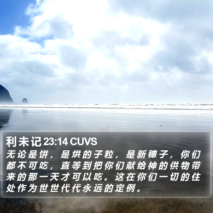 利 未 记 23:14 CUVS Bible Study