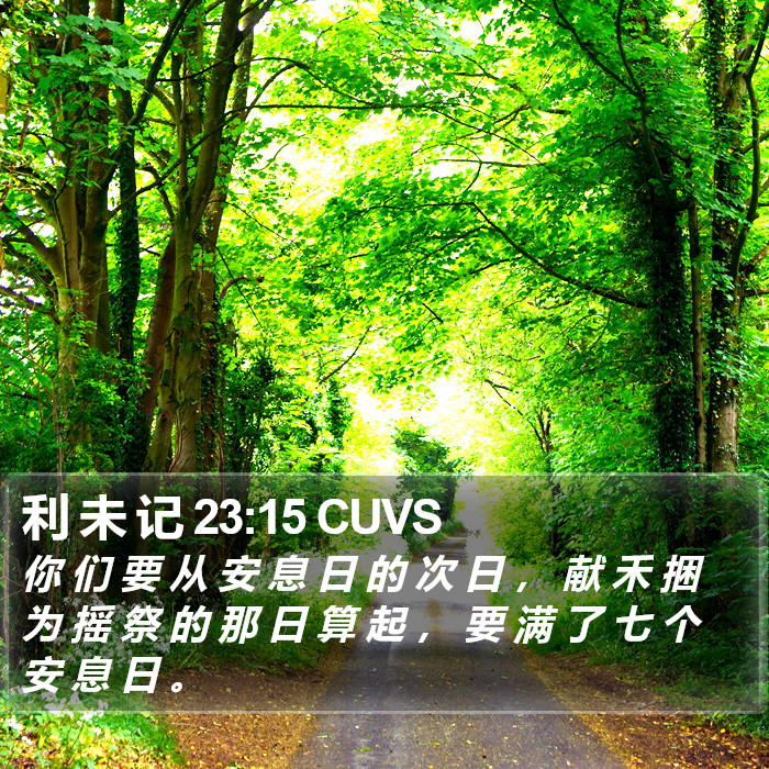 利 未 记 23:15 CUVS Bible Study