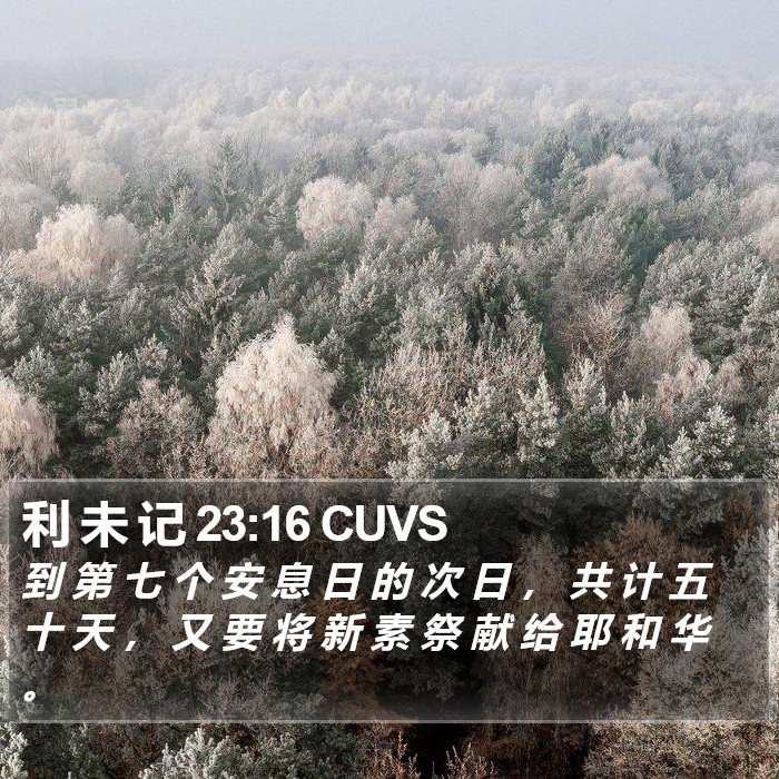 利 未 记 23:16 CUVS Bible Study