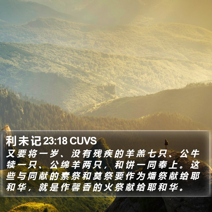 利 未 记 23:18 CUVS Bible Study